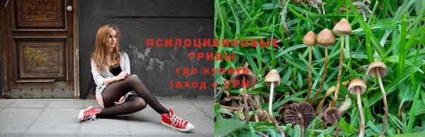 ALPHA-PVP Богородск