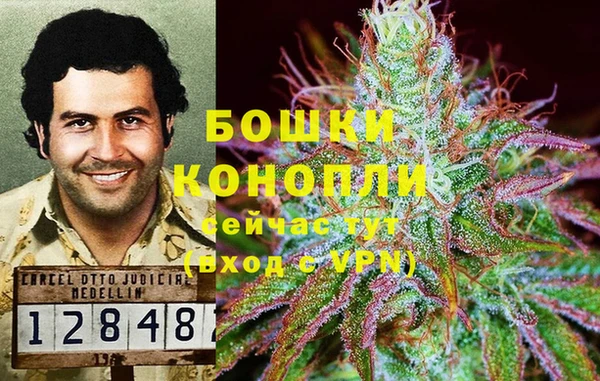 соль курить ск Богданович
