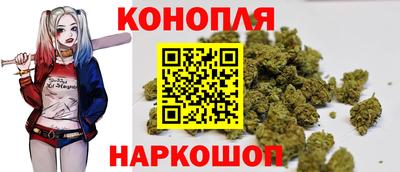 гидропоника Изобильный