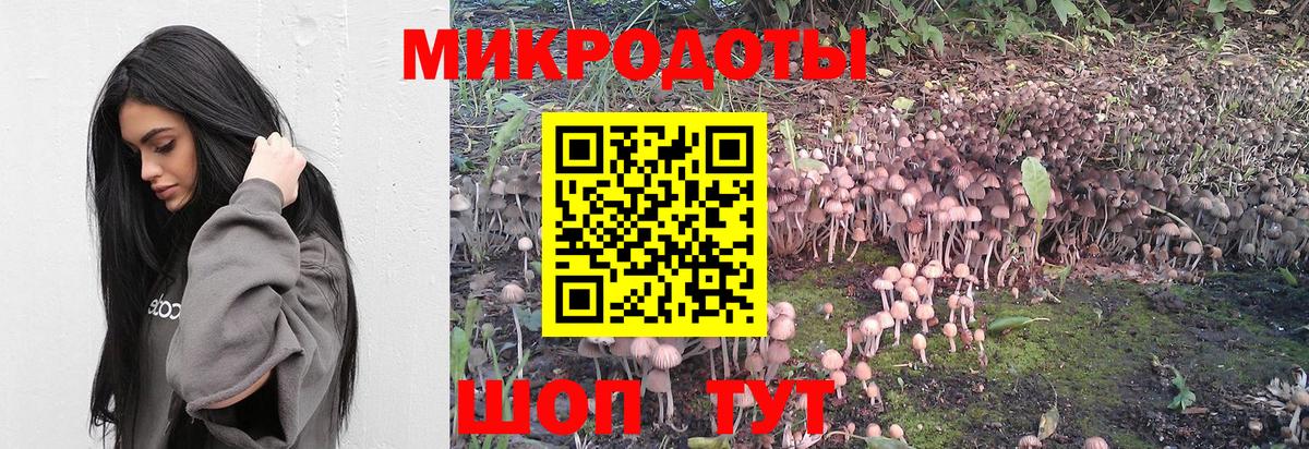 Галлюциногенные грибы Psilocybine cubensis Сургут